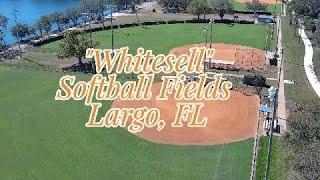 "Whitesell" Softball Fields Largo, FL/Bird Almost Attack My Drone!