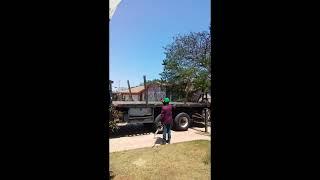 Tree Removal 2022 05 16