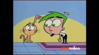 Cosmo gets beaten by a cat