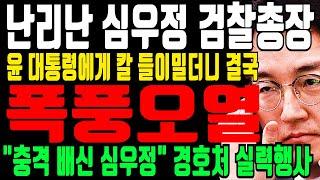 난리난 심우정 “윤석열 우습게 알다 결국 폭풍오열” 왜 대통령에게 칼을 들이 밀었나?