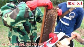 Extracting Honey- Honey Harvest - EX-M Cambodia Agriculture