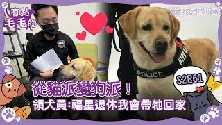 有點毛毛的 EP61｜ 從貓派變狗派！警隊領犬員志倫：福星退休我會帶牠回家｜ETtoday寵物雲