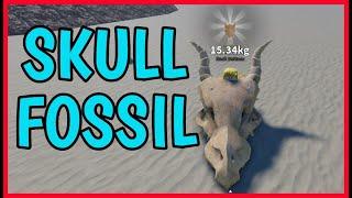 How to get SKULL FOSSIL in DESERT DETECTORS Roblox