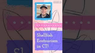 Shellfish Ecotourism in CT! | The Lisa Wexler Show