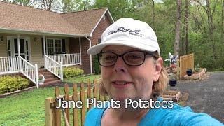 #75 Jane Plants Potatoes