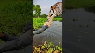 Village Traditional Bamboo Tools Polo fishing video!!(Part-19)#fishing #amazingfish #shorts