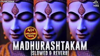 Adharam Madhuram (Slow + Reverb) | Krishna Bhajan | Bhakti Song | Bhajan Song | Madhurashtakam Lofi