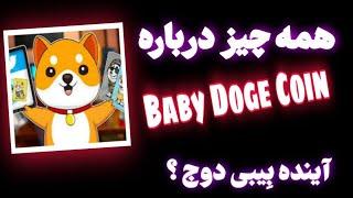 آینده بیبی دوج کوین .  بیبی دوج ارز دیجیتال . همه چیز درباره بیبی دوج کوین .  Baby Doge Coin .