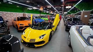 Ultimate Supercar Showroom in Dubai - Dourado Luxury Cars!