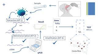 Design and evaluation of an intelligent bioinformatics... - Allan Orozco - Talk - ISCB-LA 2020