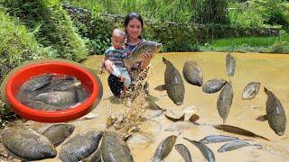 Harvesting Fish from self-raised ponds, Processing to make Smoked Fish for long-term preservation.