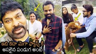 Megastar Chiranjeevi, Ram Charan And Sai Dharam Tej Sankranti Wishes To Fans | News Buzz