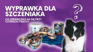 WYPRAWKA DLA SZCZENIAKA - CO SPRAWDZIŁO MI SIĘ PRZY CZTERECH PSACH? | PAULINA I PSY