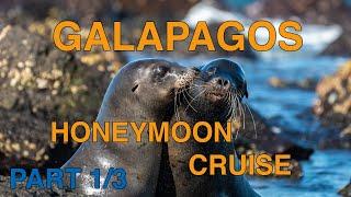 Galápagos Honeymoon: Isabela, Puerto Villamil, Sierra Negra, Mosquera (Part 1/3)