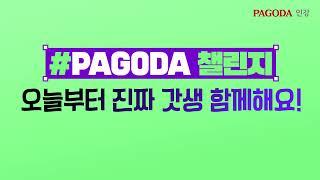 [파고다인강] PAGODA 챌린지로 갓생살기 GO!