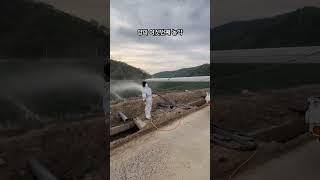 양파에 여섯번째 농약 영양제를 뿌려줍니다. #양파 #농약 #영양제 #분무기 #asaba #노즐 #청년농부 #구독과좋아요 #고령군
