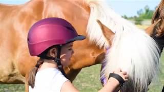 Magic of Horses at Royale Equestrian Centre