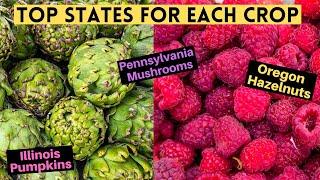 Top State for Each Crop Grown in U.S.