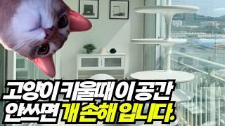 펫도어 설치로 58000배 행복한 고양이 만들기