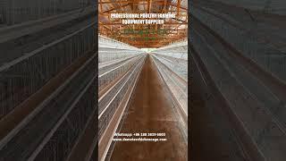 A-Type 4-Tier Layer Battery Chicken Cage for Commercial Poultry Farms in Abidjan Cote D'lvoire