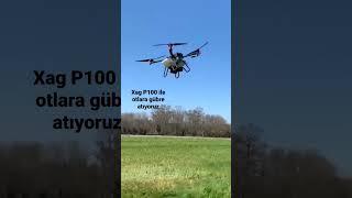 Xag P100 ile otlara gübre atıyoruz #xag #p100 #drone