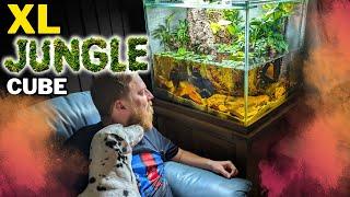 How I created an EPIC flooded forest aquarium! Aquascape tutorial.