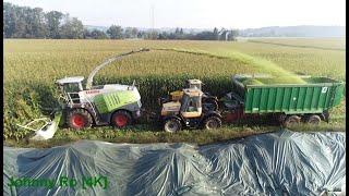 Maishäckseln 2023 Teil 1, LU Karl Krumm mit Claas Jaguar 950, Fendt 724, Fendt 820, JCB [4K]