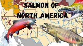 The Salmon Species of North America: A species guide with range maps