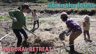 Self-Sufficiency, Forest Life, Rural Japan, Spring in full bloom, Drainage situation at my house