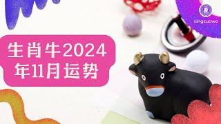 2024年11月属牛人运势 属牛2024年11月运程#生肖牛 #2024年运势 #11月运势 #属牛运势