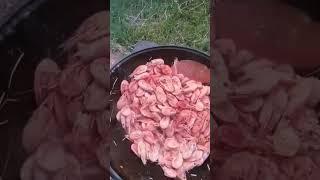 Креветки на костре  #креветки #готовимсами #костер #природа #еда