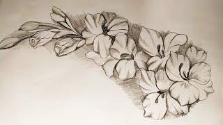 How to draw Gladiolus flower step by step very easy pencil drowing।। গ্যালাডিয়া ফুল ড্রয়িং