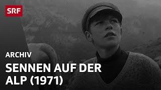 Sennen auf der Alp (1971) | Berg-Nostalgie Schweiz | SRF Archiv