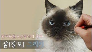 샴(장모)고양이 그림그리기/그림그리는영상/반려동물초상화