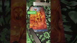 #cancer #cancertarot #cancerreading #canceryoutube #fyp #cancermessages