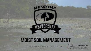 Moist Soil Management for Ducks - Waterfowl Management