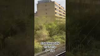 Train Trip || S - Tog || Copenhagen - Denmark  #denmark #train