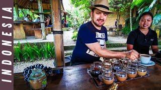 Am incercat cafeaua de pisica (fecale de Luwak) una din cele mai scumpe din lume | Bali Travel