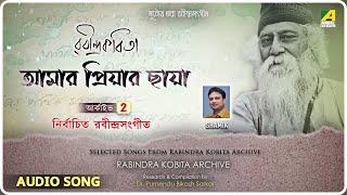 Amar Priyar Chhaya | Rabindra Songs Archive 2 | Rabindra Sangeet Audio Song | Shamik Pal