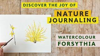 Discover the Joy of Nature Journaling | Paint Watercolour Forsythia