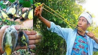 Hunting small birds as food - Little birds taste delicious || Thai S