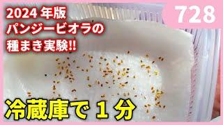 家庭で１分でできるパンジービオラの種まきの実験①　ｂｙ園芸チャンネル　　　728　園芸 ガーデニング 初心者