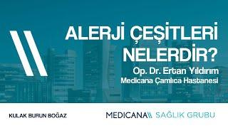 Alerji Çeşitleri Nelerdir?