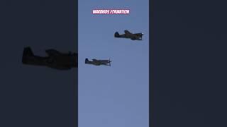 P39 Aerocobra, P40 Warhawk and P51 Mustang in Formation