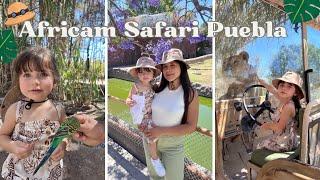 Visitamos Africam Safari en Puebla  (Video grabado en 2023)