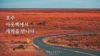 [자연의 소리] 호주 아웃백의 새벽소리 | 새소리와 자연의 소리로 가득한 4K #ASMR  #힐링음악 #relax