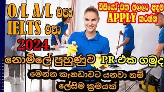 කැනඩාවේ පිරිසිදු කරන්නන්ගේ රැකියා 2024 | Job Bank | Career Couch | NO IELTS NO EDUCATION