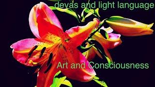 Flower Devas and Light Language Multidimensional Art and Consciousness