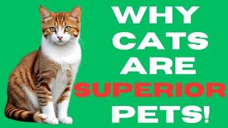 Cats: The Superior Pet #Cats #Pets #CatLove