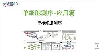 单细胞测序-应用篇-单核细胞测序（Single-cell sequencing - application - Monocyte sequencing）